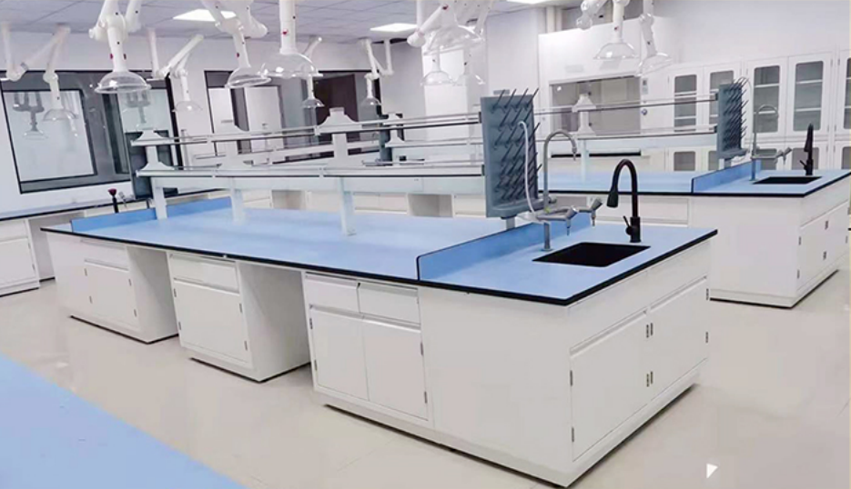 全钢实验台(钢制一体化柜体;304不锈钢合页;一体成型拉手)